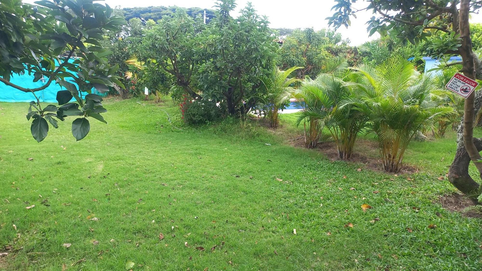 Las Orquideas Rozo ภายนอก รูปภาพ